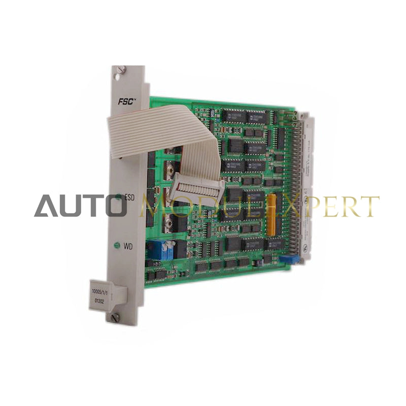 10005/1/1 Honeywell Watchdog Module