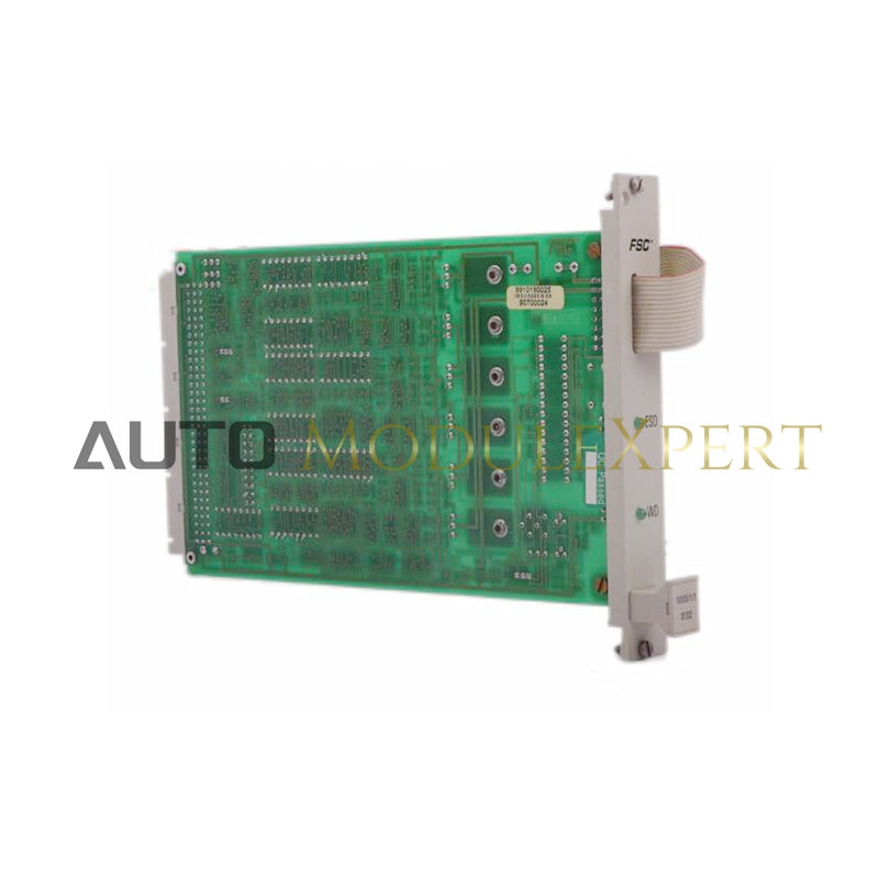 10005/1/1 Honeywell Watchdog Module