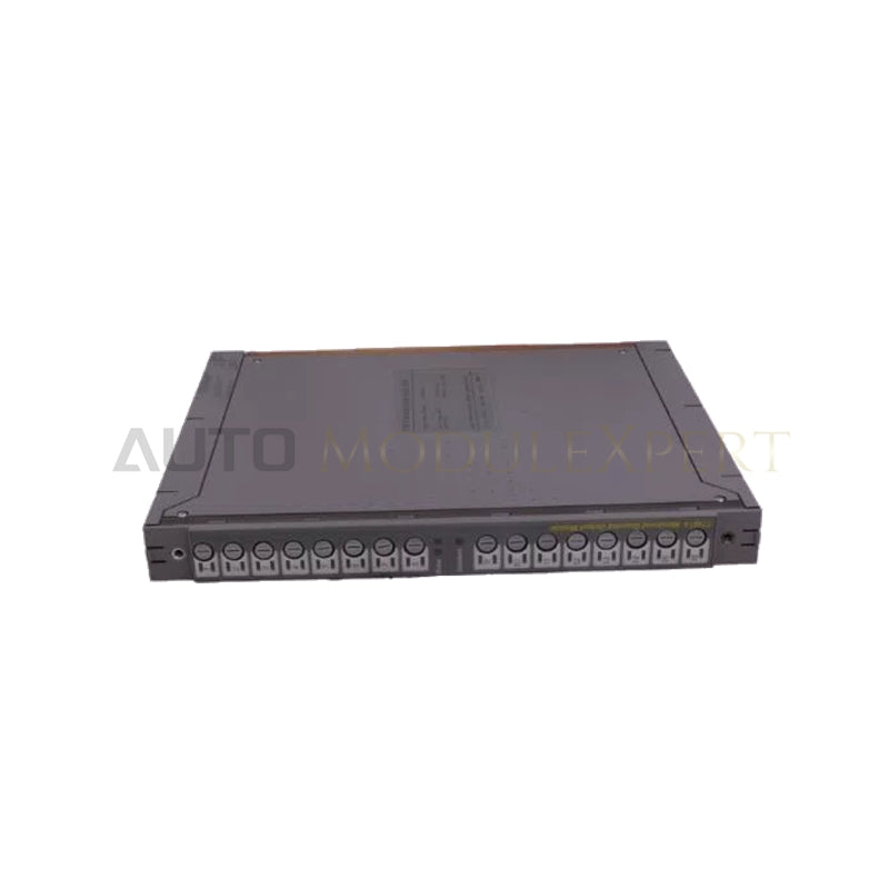 ICS Triplex T7420A Regent+Plus Analog Input Module 700234