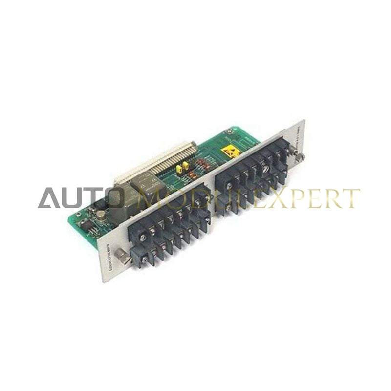 Bently Nevada 122407-01 RTD Input Module