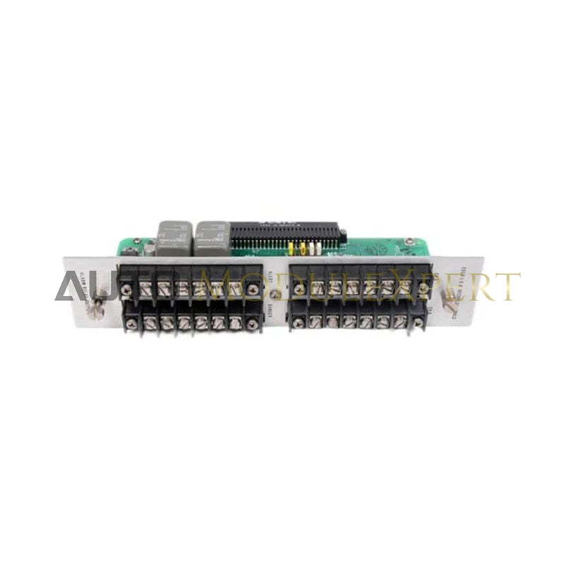Bently Nevada 122407-01 RTD Input Module