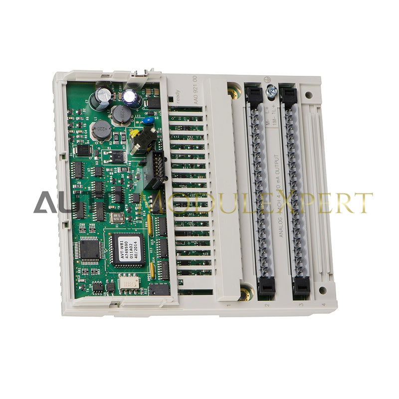 170AAO92100 | Schneider | Saída Analógica Distribuída Modicon