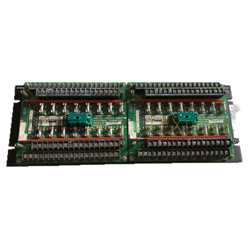 Triconex 3000110-380 Temperature/Process Control Module