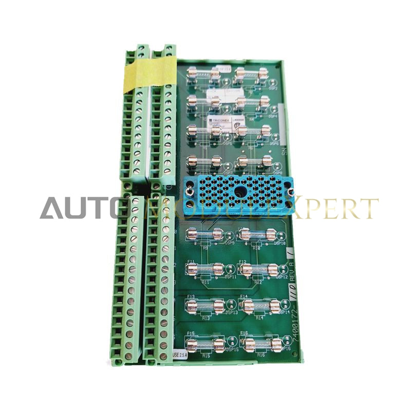 Módulo de Interface Triconex 3000590-110