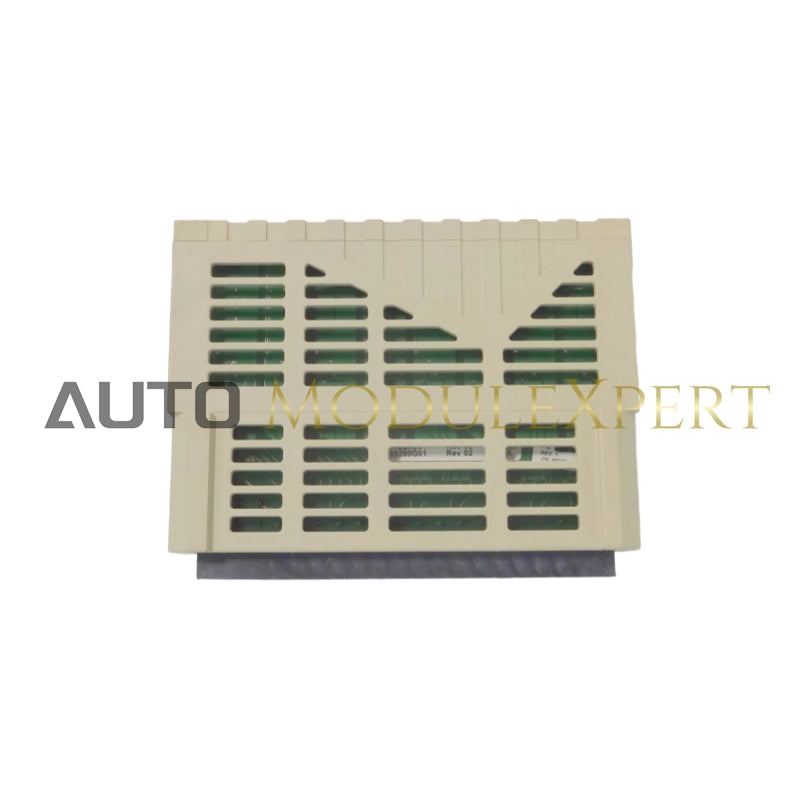 Módulo de Entrada Analógica OVATION 1C31227G01