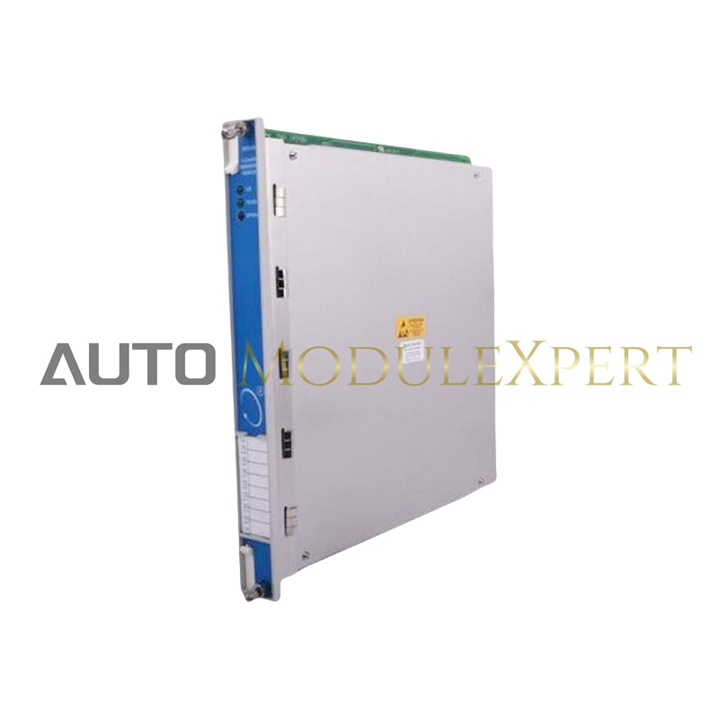 BENTLY NEVADA 145988-02 Monitor de Temperatura