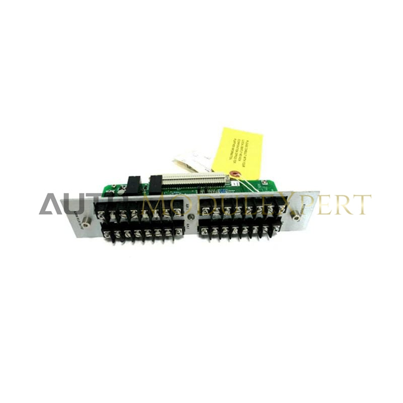 Bently Nevada 78462-02 XDUCR I/O and Record Terminals