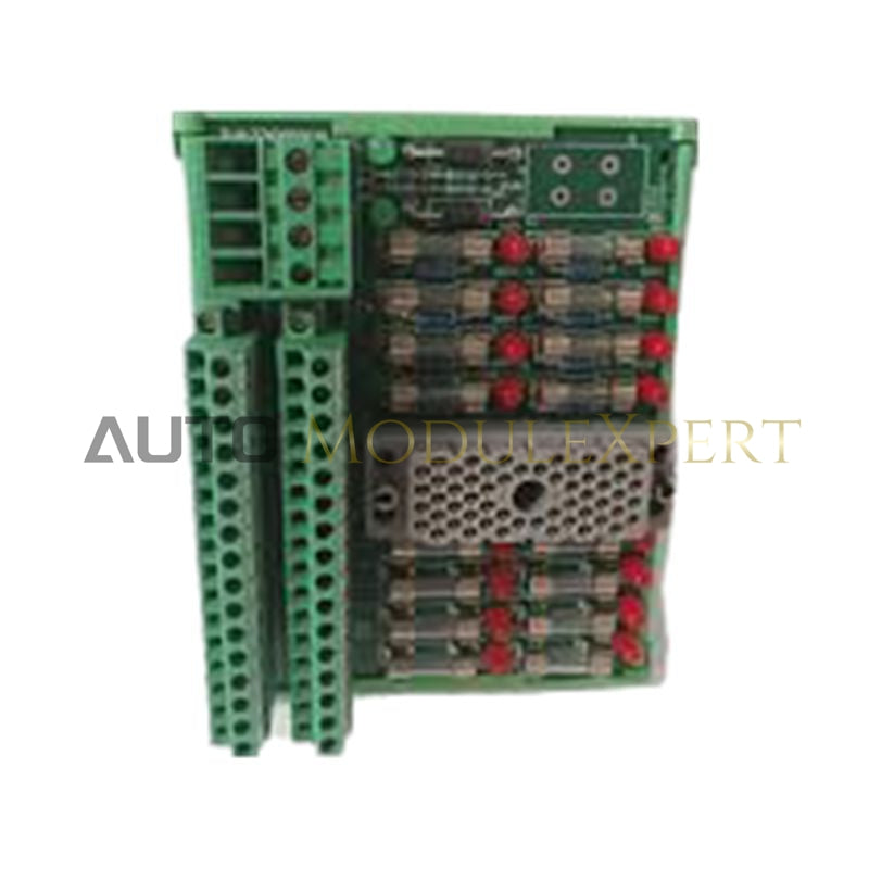 Digital Input Termination Panel Triconex 9563-810 (4000093-350)