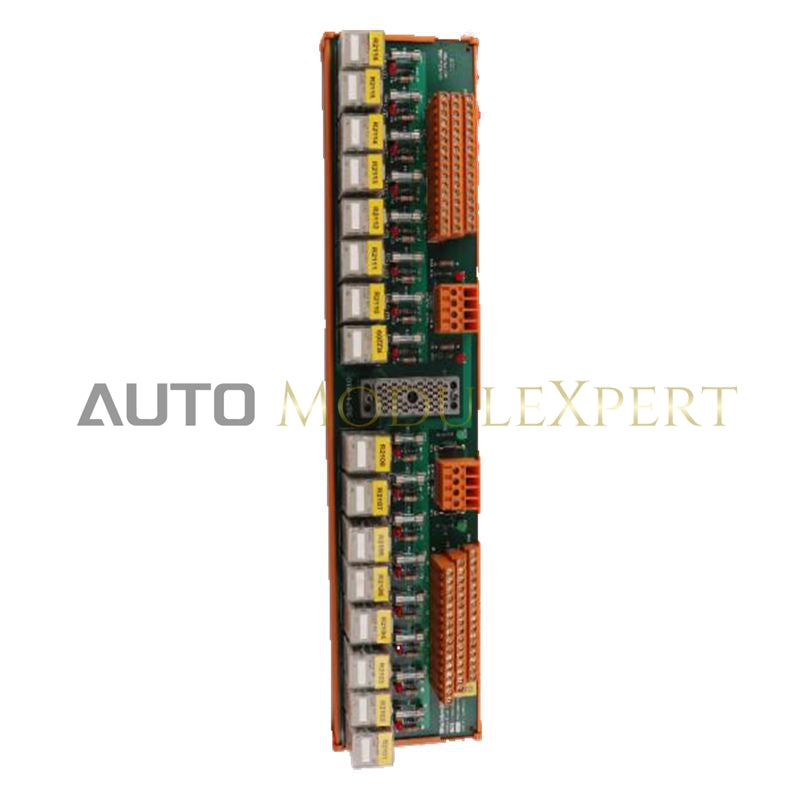 Analog Output Terminal Board 9674-810 Triconex