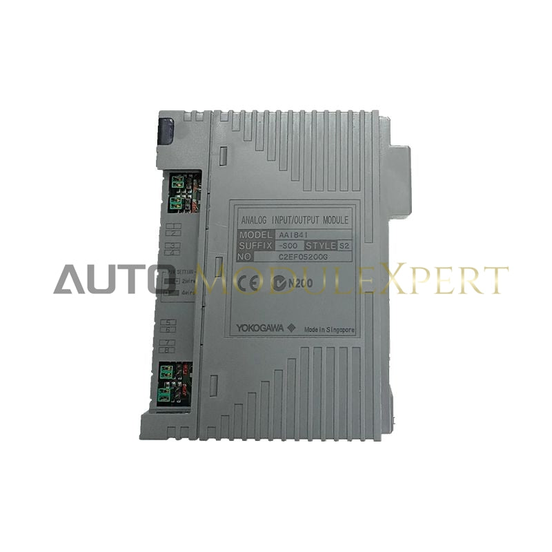 AAI841-S00 S2  Yokogawa Analog Input/Output Module