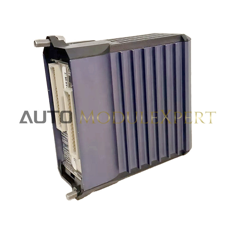 FBM218 P0922VW | Foxboro | HART Communication Redundant Output