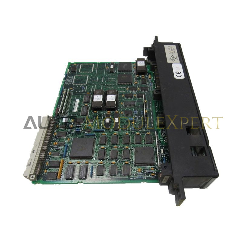 General Electric IC693ACC302B Օժանդակ Բատարիայի Մոդուլ (副本)