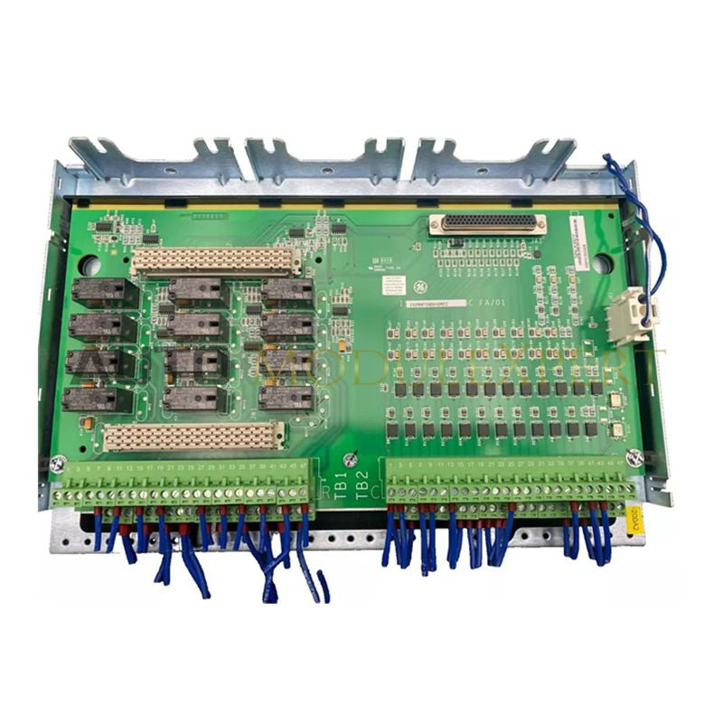 Discrete I/O Terminal Module IS20OTDBSH2ACC GE