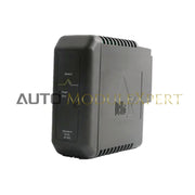 Emerson KJ3002X1-BG1 Kartu Input Analog