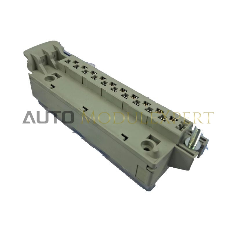 Schneider TSXBLY01 Terminal Block for Industrial Control Systems