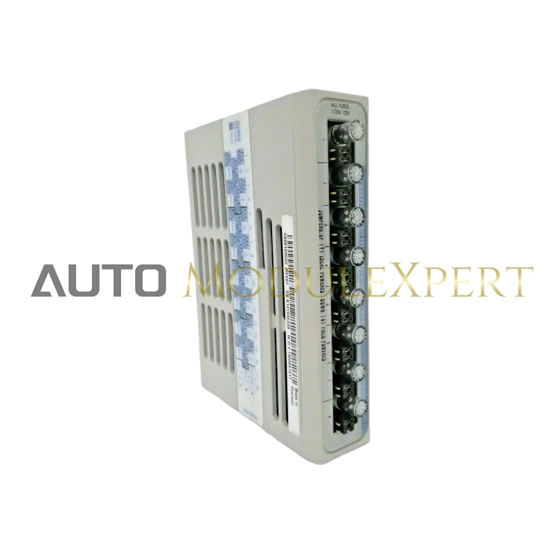 Módulo de Entrada Analógica de Alto Rendimiento OVATION 5X00109G02