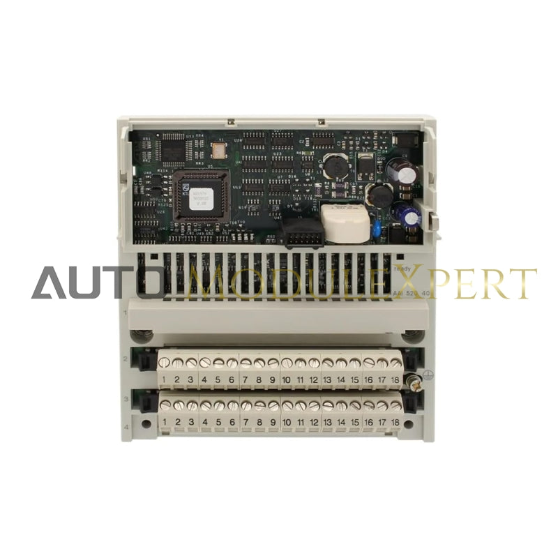 Schneider 170AAI52040 Entrada Analógica Distribuída Modicon