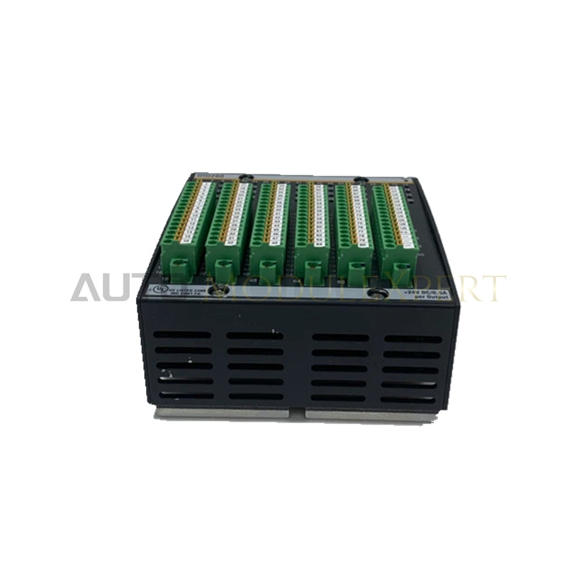 DIO280 00019114-00 وحدة الإدخال والإخراج الرقمية Bachmann M1