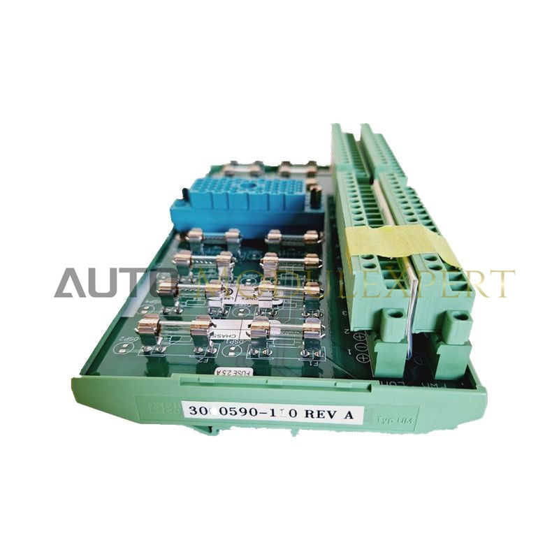 Módulo de Interfaz Triconex 3000590-110