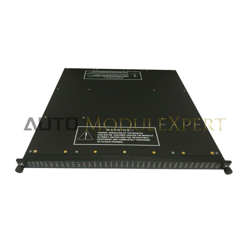 Triconex 3625C1-J Schneider Electric Digital Output Module