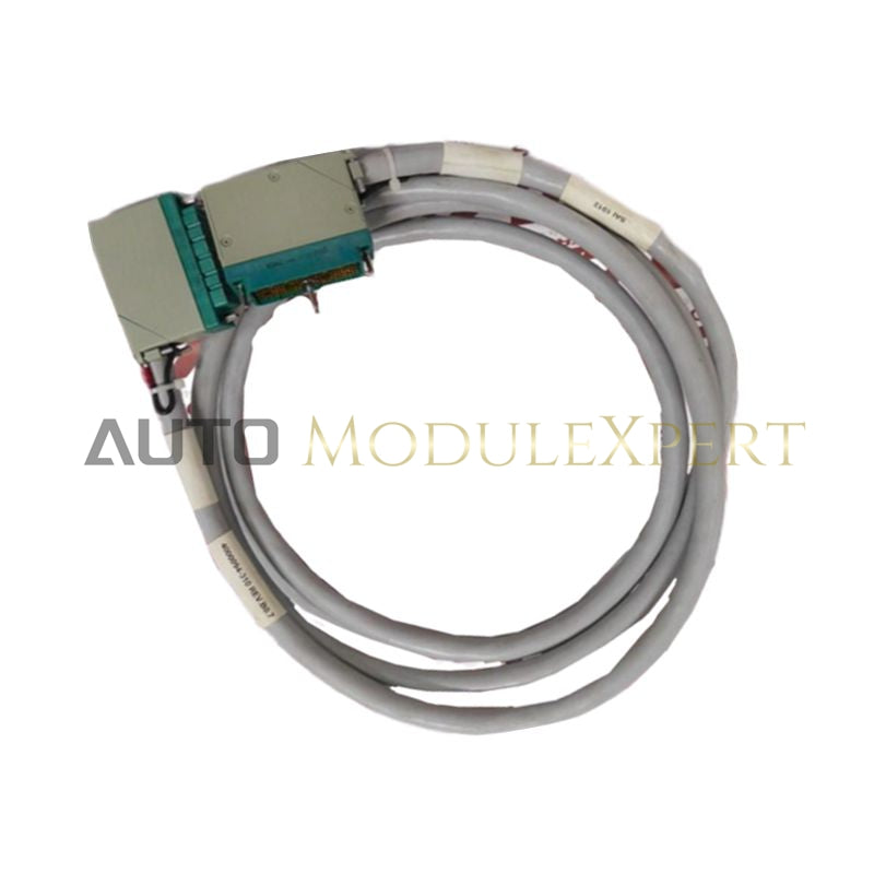 4000094-310 Triconex Giriş Terminal Kabeli Tricon Sistemləri üçün