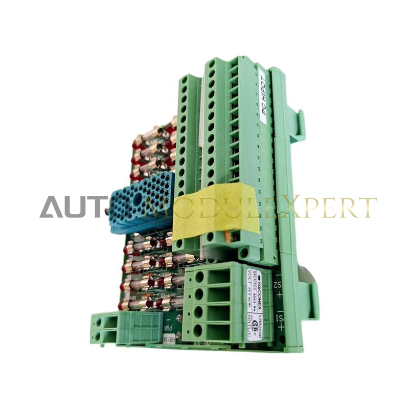 Abschlussfeld Triconex 9563-810 3000510-380