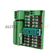 Abschlussfeld Triconex 9563-810 3000510-380