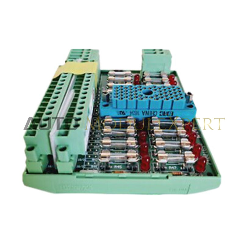 Abschlussfeld Triconex 9563-810 3000510-380