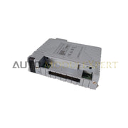 ماژول ورودی/خروجی آنالوگ یوکوگاوا AAB841-S50 S2