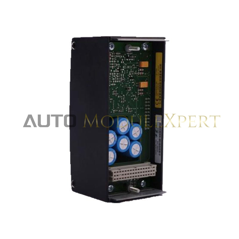 AI204/2 BACHMANN Analog Input Module