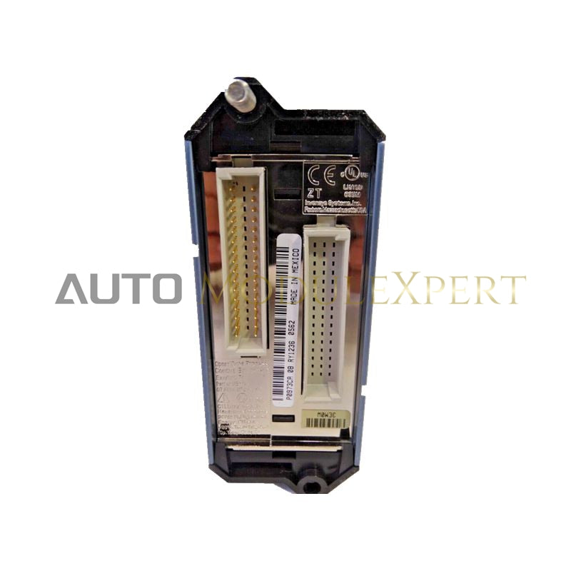 FEM100 P0973CA Foxboro I/A Series Fieldbus Expansion Module