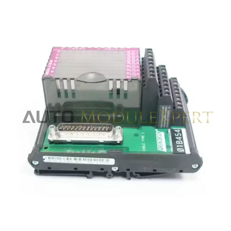 Ensamblaje de Terminal de Campo Foxboro FBM204 P0916AG