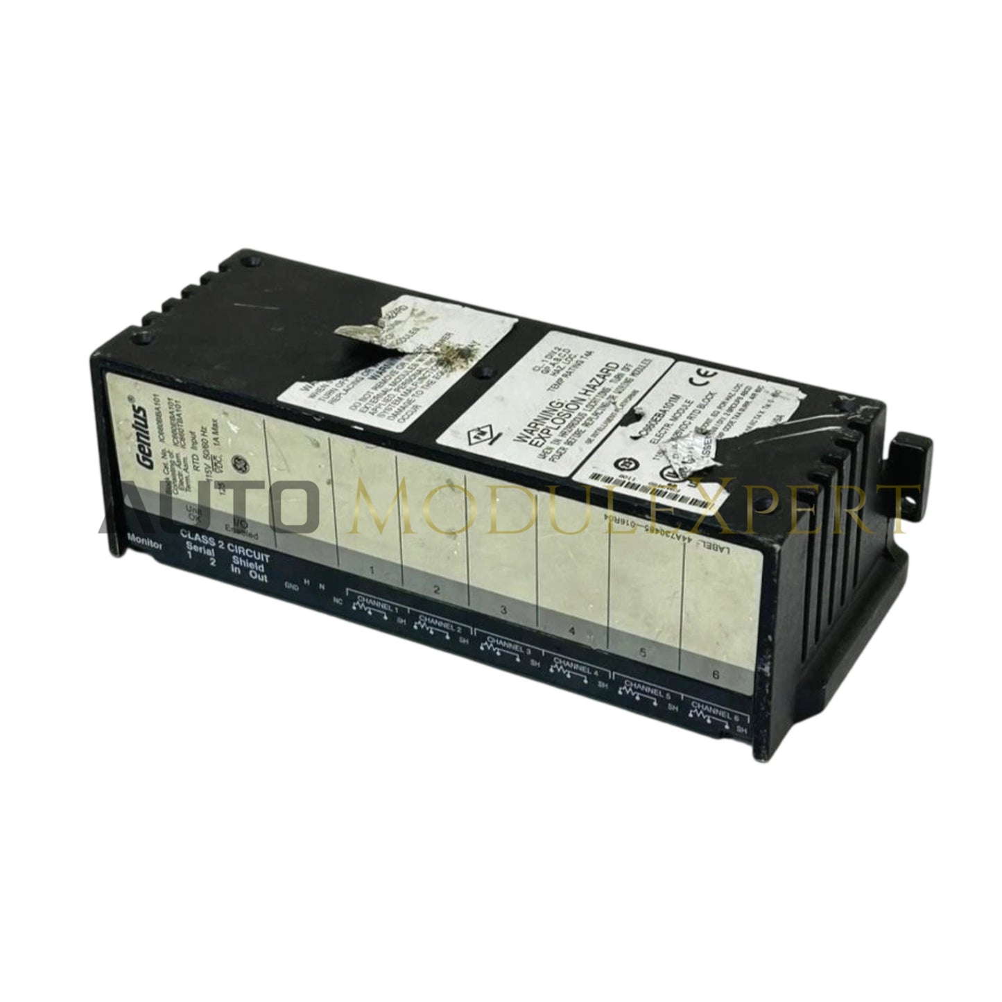 IC660BBA101 Genius I/O RTD-Eingangsmodul General Electric