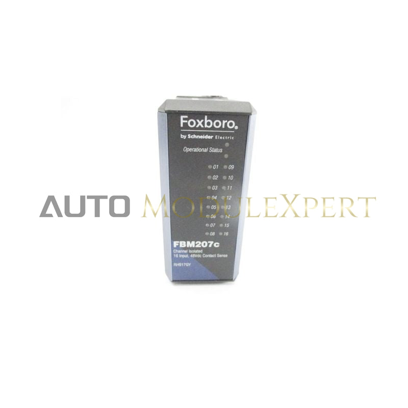 RH917GY Foxboro alussideväljakaabli moodul